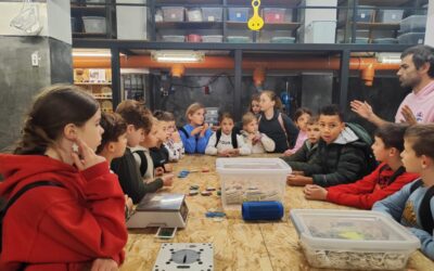 Kad plastika postane prilika, a ne otpad – učenici PŠ Čilipi uče kako čuvati planet