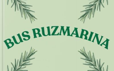 “Bus ruzmarina” u izvedbi učenika PŠ Komaji